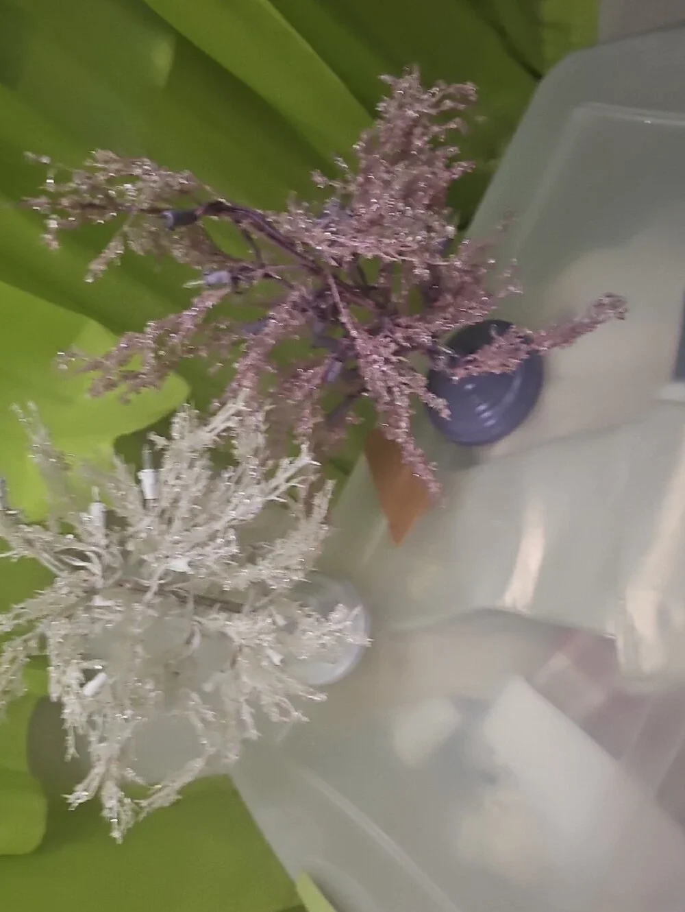 Pair of Lighted Decorative Floral Trees - White & Lavender 20